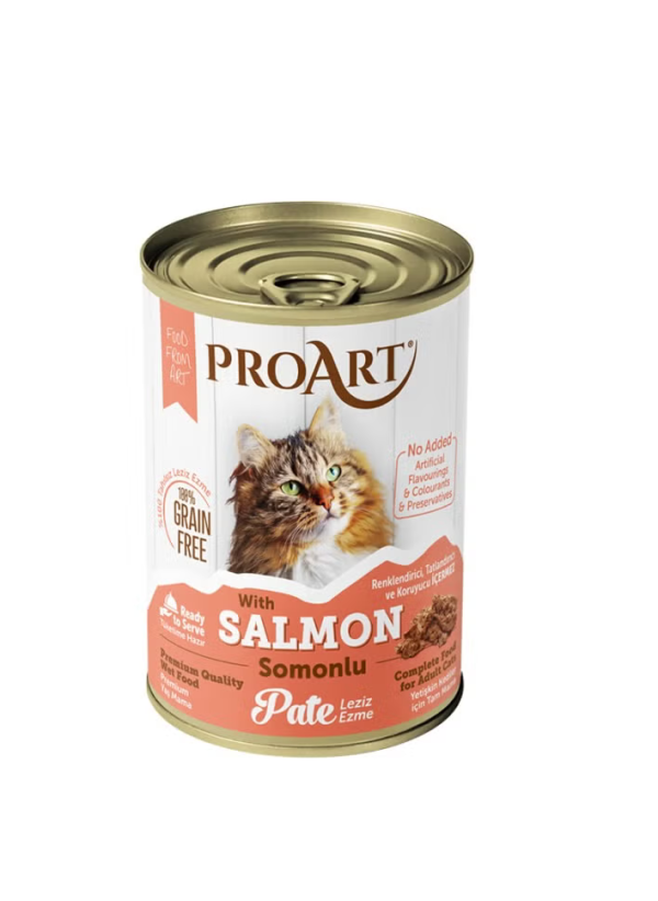 Proart Cat Pate With Salmon 400g x12